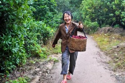 ​杨梅长虫，很多人都不敢吃！可真相是？