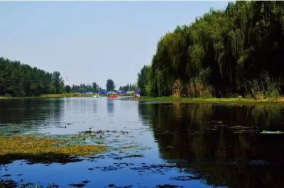 ​扬州周边游：润扬森林公园，马可波罗花世界，隋炀帝陵，普哈丁园