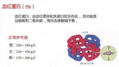 ​一分钟教你读懂体检报告单（血常规）