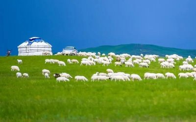 ​内蒙古10大经典美食，原滋原味，全是当地特色，吃一次就忘不掉