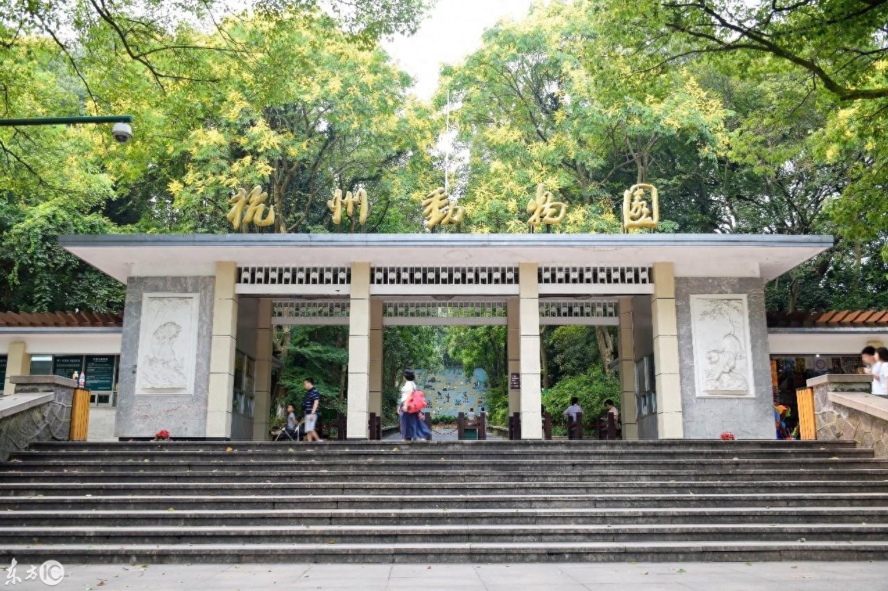 动物园里的动物你喜欢哪个