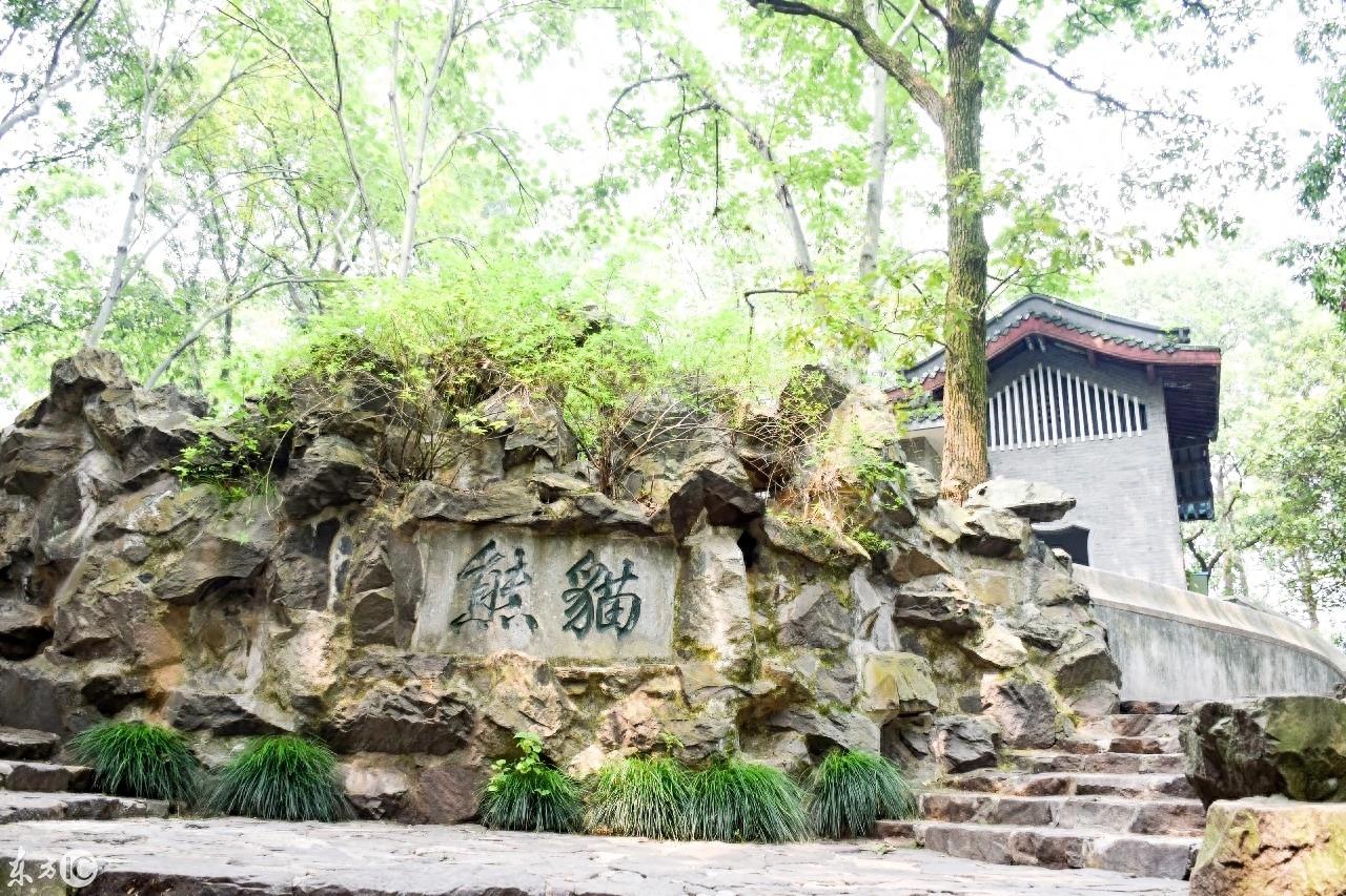 动物园里的动物你喜欢哪个