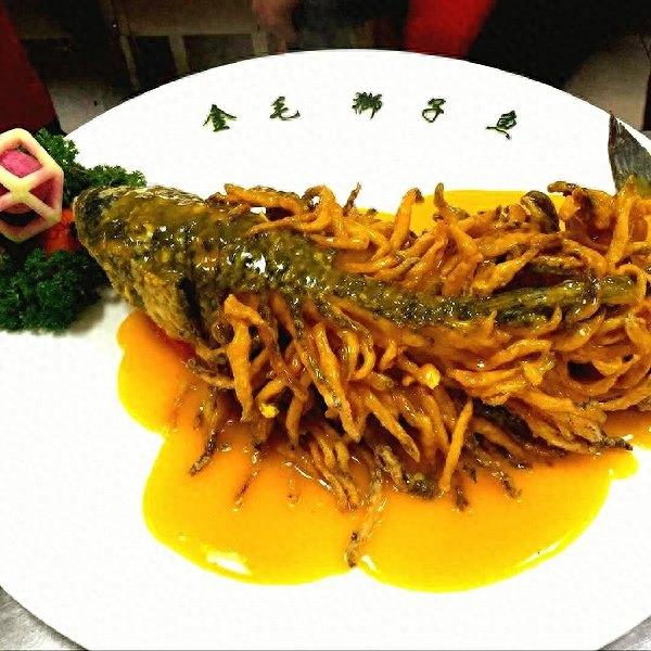 金毛狮子鱼——豫北名菜,色泽金黄,酸甜适口,春节不可多得的菜