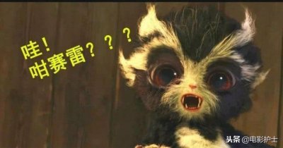 ​票房仅6000万，投资人颗粒无收，周冬雨尴尬了，古天乐也带不动她