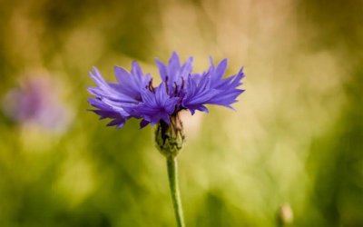 ​分享重逢的唯美句子