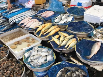 ​海鲜市场里的秘密：十一来鲅鱼圈吃海鲜、买海鲜这样安排不被坑