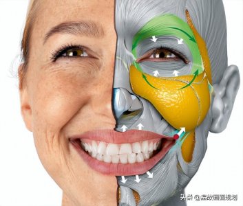 ​人像修图教程，各种摄影后期培训教材大全