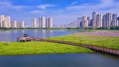 ​中国要划出第五个直辖市吗？现在点名的五大城市哪个会是最后赢家