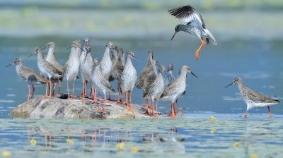 ​到保山旅游，这12个景点不容错过，让你感受云南独特的魅力