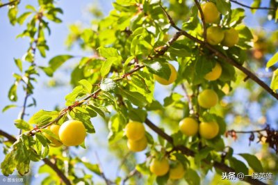 ​韶华易逝 莫负流年 在最美的时间里遇见最美的你 诗经时代的爱情