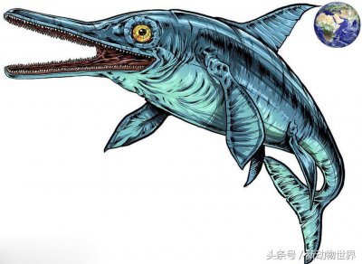 ​鱼龙-2.5亿年前制霸海洋的凶猛猎食者，却莫名其妙走向灭绝