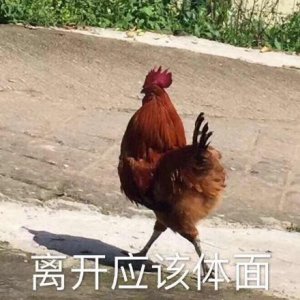 ​斗图表情包：可把我自己给牛x坏了，叉会儿腰