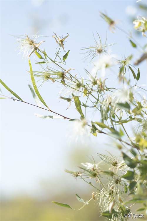 探秘库尔勒龙山公园，十八年植树十万亩，从不毛之地到绿地公园
