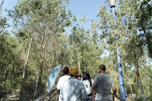 探秘库尔勒龙山公园，十八年植树十万亩，从不毛之地到绿地公园