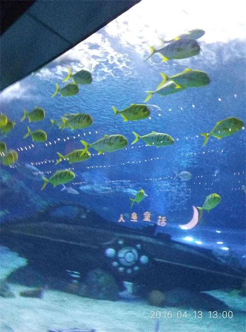 天津海昌极地海洋世界