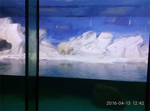 天津海昌极地海洋世界