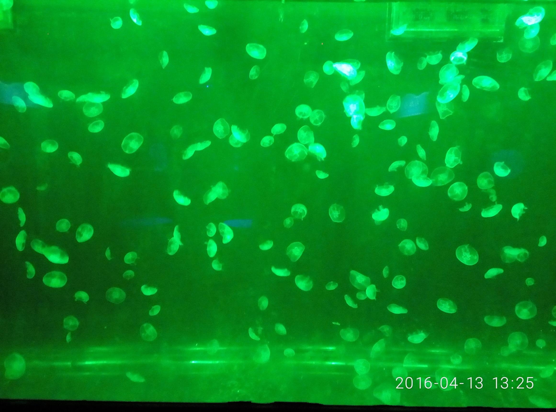 天津海昌极地海洋世界