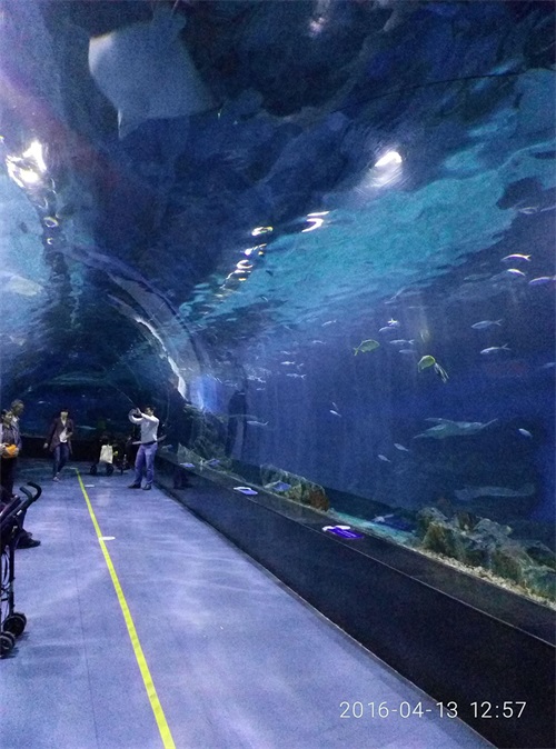 天津海昌极地海洋世界