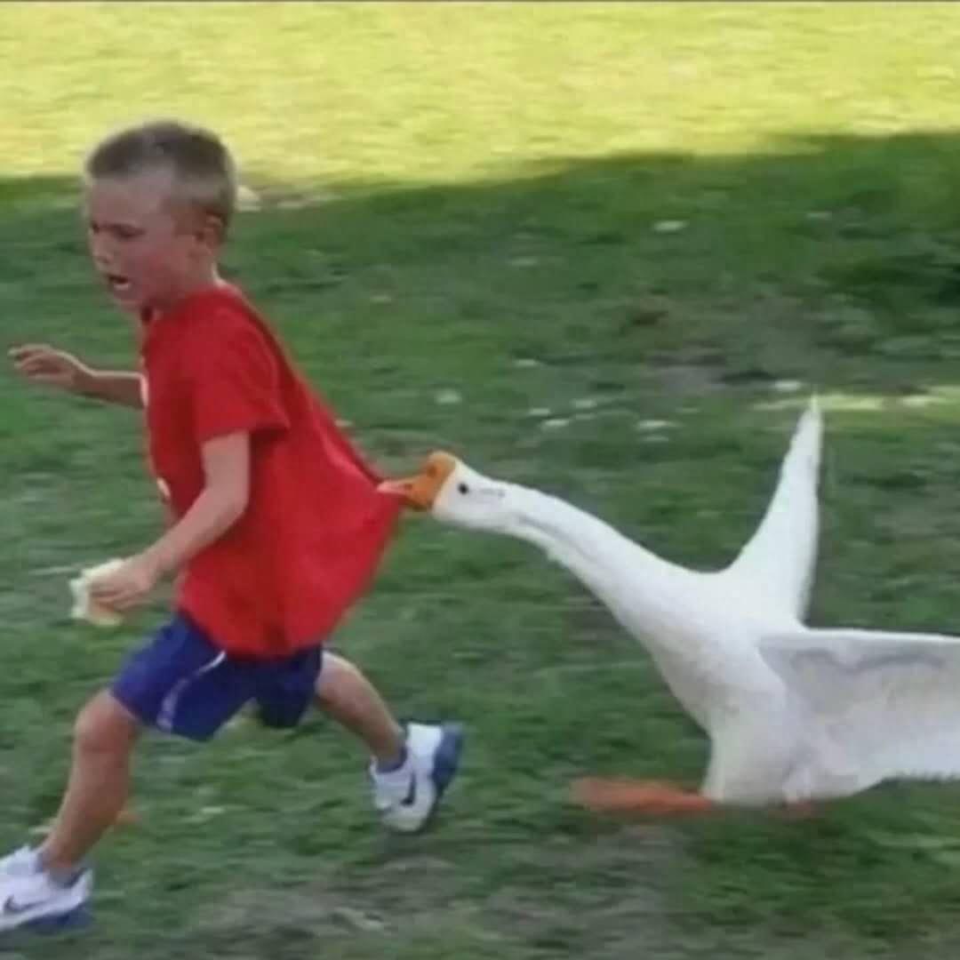 搞笑可爱头像 图片 表情包 记得收藏哦