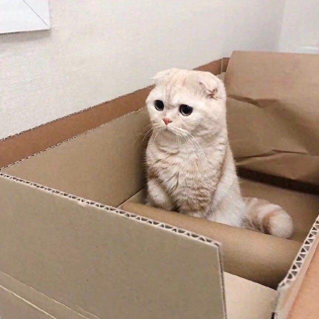 搞笑可爱头像 图片 表情包 记得收藏哦