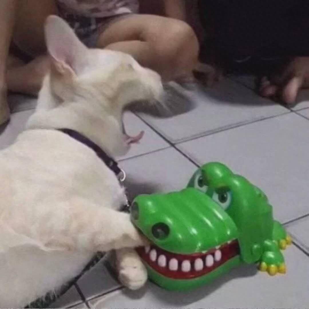 搞笑可爱头像 图片 表情包 记得收藏哦