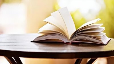 ​影评｜四个视角看《印度往事》