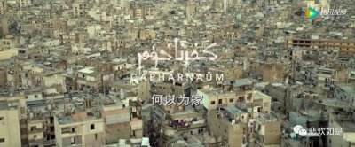 ​影评｜孩子控诉父母是不负责的生育机器——生而不养《何以为家》