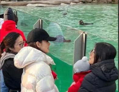 ​刘强东4个孩子！章泽天双胞胎儿子照片流出，长得虎头虎脑太可爱