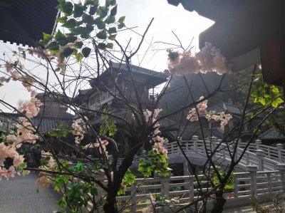 ​世界政治格局的演变要点归纳