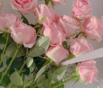 ​形容心情好的诗句85句