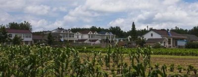 ​农民致富有哪些？新项目介绍