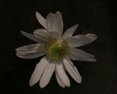 ​霸气的励志名言94句