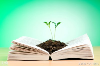 ​责任句子经典语录（有责任有担当的名言警句大全）