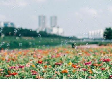 ​励志名言短句霸气（心灵鸡汤励志语录简短）