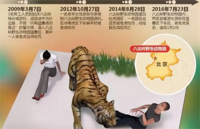 ​老虎吃过人类后，究竟有多可怕？传奇猎人表示：后患无穷