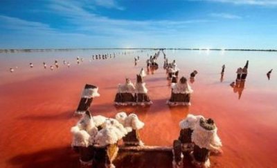 ​机械加工企业口号[70句] (我说的是星晨机床…)