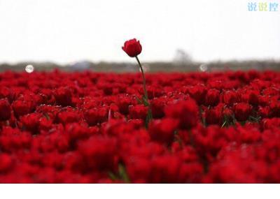 高考励志口号简短霸气