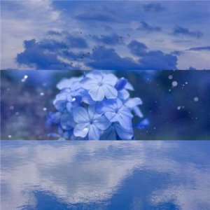 ​最霸气的团队励志口号 霸气四字成语励志名言