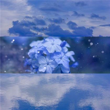 最霸气的团队励志口号