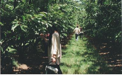 公司励志口号简短精炼