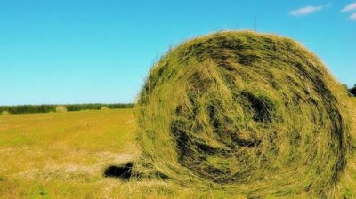 ​四字口号霸气押韵 口号大全霸气十足16字