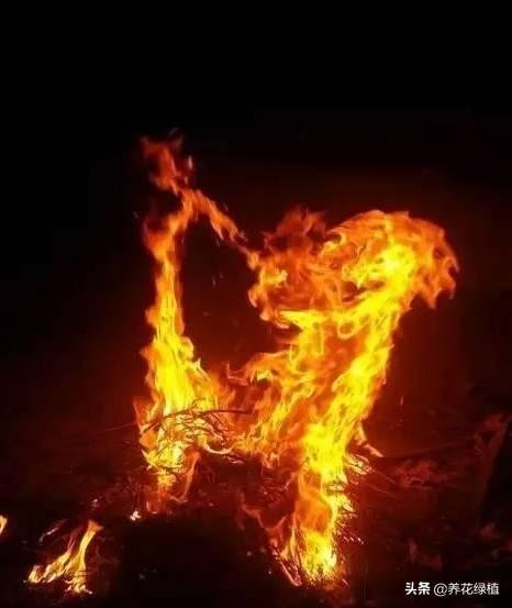 正月廿三是什么意思_各地有哪些传统习俗 正月廿三是什么意思_各地有哪些传统习俗