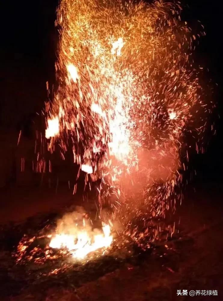 正月廿三是什么意思_各地有哪些传统习俗 正月廿三是什么意思_各地有哪些传统习俗