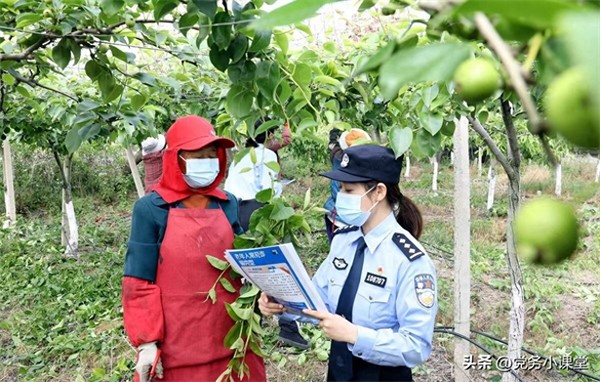 治安大队长是实权派吗(治安大队厉害还是派出所)