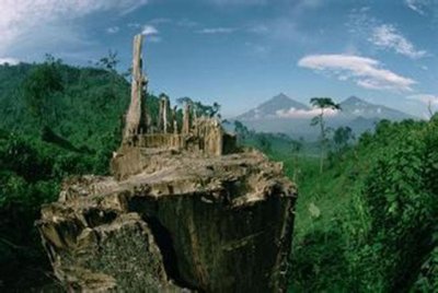 ​刚果金和刚果布的区别（刚果金和刚果布的历史渊源）