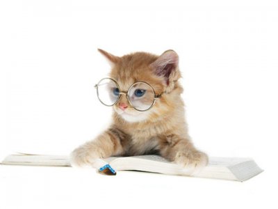 ​法制名言警句大全短句(法律中的经典格言，快来选一句当自己的座右铭)