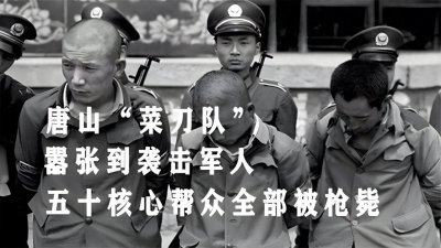 ​83年严打时形势有多严重，从严从重从快处罚，177万被捕3万枪毙