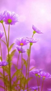 ​女人的暗号你都知道多少？