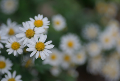 ​五个字搞笑超拽网名(153个)