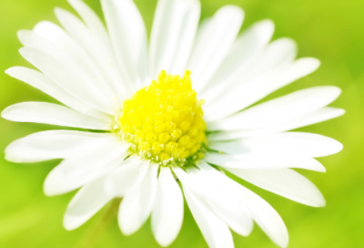 有文化高雅的成熟男生网名(169个)